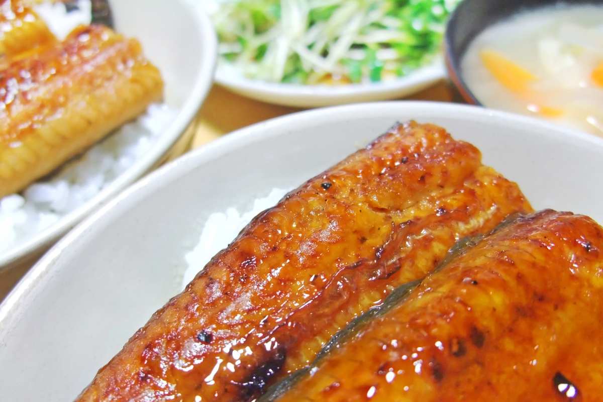 anguille nel piatto cotte 