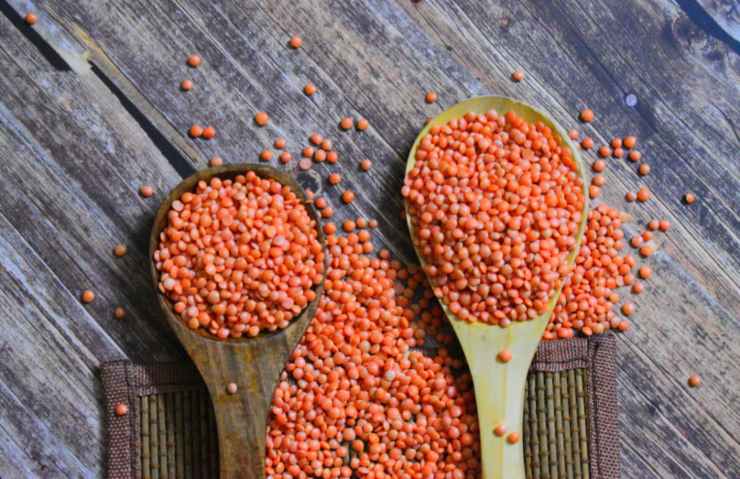 cucchiai di legno pieni di lenticchie rosse crude